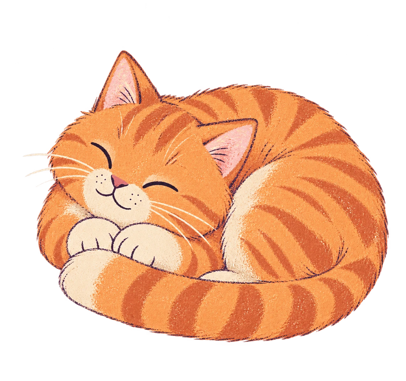 Lasi tidur meringkuk